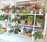 стеллаж для цветов красивый на окно 